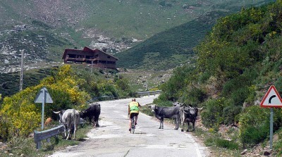 Golobar, foto de Ramn